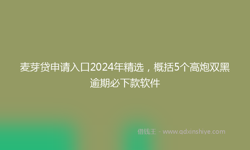 麦芽贷申请入口2024年精选，概括5个高炮双黑逾期必下款软件