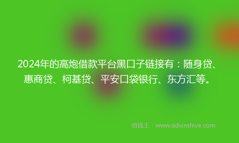 2024年的高炮借款平台黑口子链接有：随身贷、惠商贷、柯基贷、平安口袋银行、东方汇等。