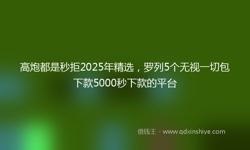 高炮都是秒拒2025年精选，罗列5个无视一切包下款5000秒下款的平台