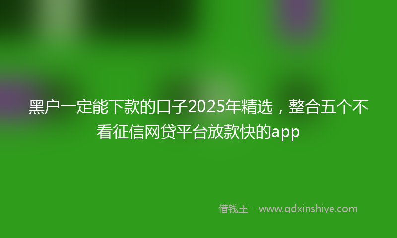 黑户一定能下款的口子2025年精选，整合五个不看征信网贷平台放款快的app