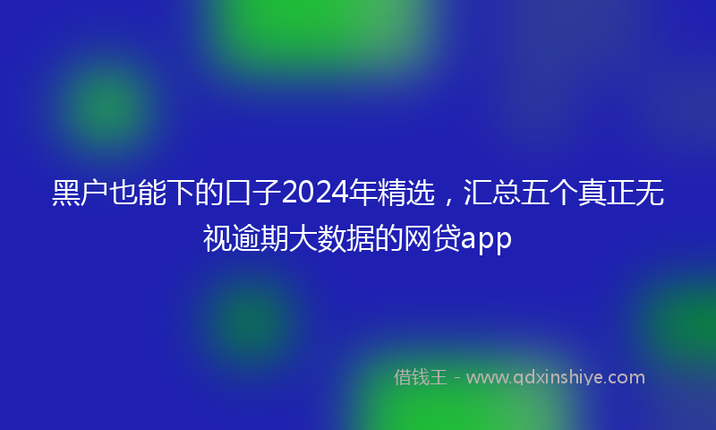 黑户也能下的口子2024年精选，汇总五个真正无视逾期大数据的网贷app