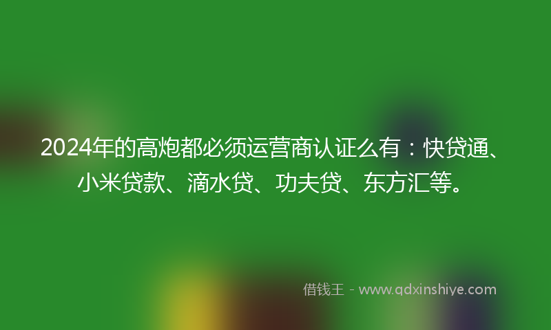 2024年的高炮都必须运营商认证么有：快贷通、小米贷款、滴水贷、功夫贷、东方汇等。
