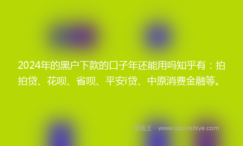 2024年的黑户下款的口子年还能用吗知乎有：拍拍贷、花呗、省呗、平安i贷、中原消费金融等。