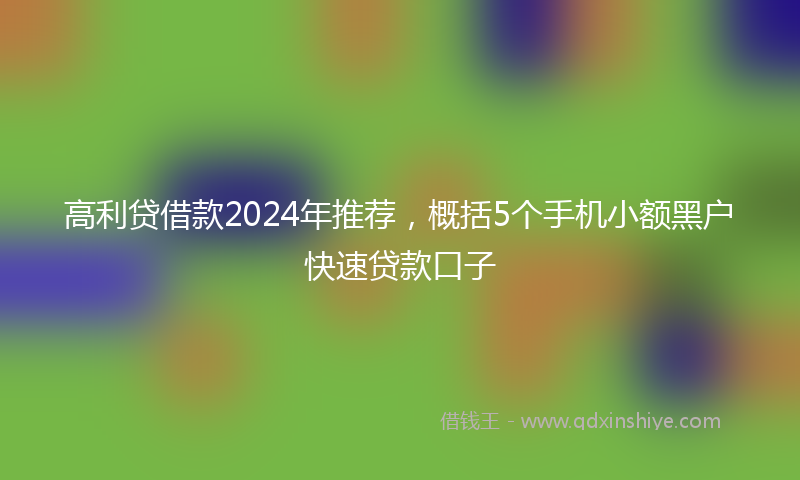 高利贷借款2024年推荐，概括5个手机小额黑户快速贷款口子