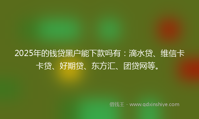 2025年的钱贷黑户能下款吗有：滴水贷、维信卡卡贷、好期贷、东方汇、团贷网等。