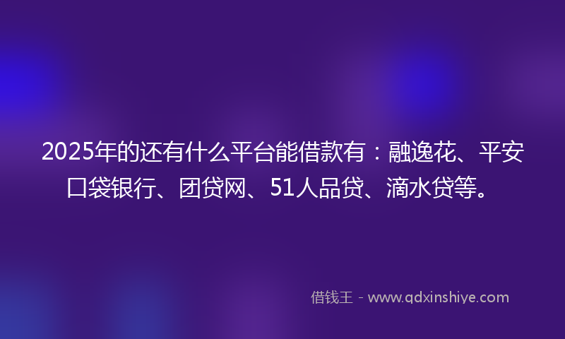 2025年的还有什么平台能借款有：融逸花、平安口袋银行、团贷网、51人品贷、滴水贷等。