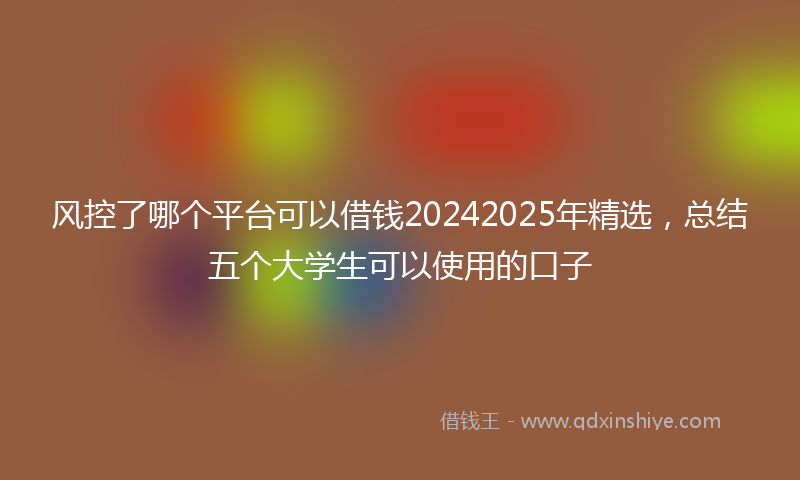 风控了哪个平台可以借钱20242025年精选，总结五个大学生可以使用的口子
