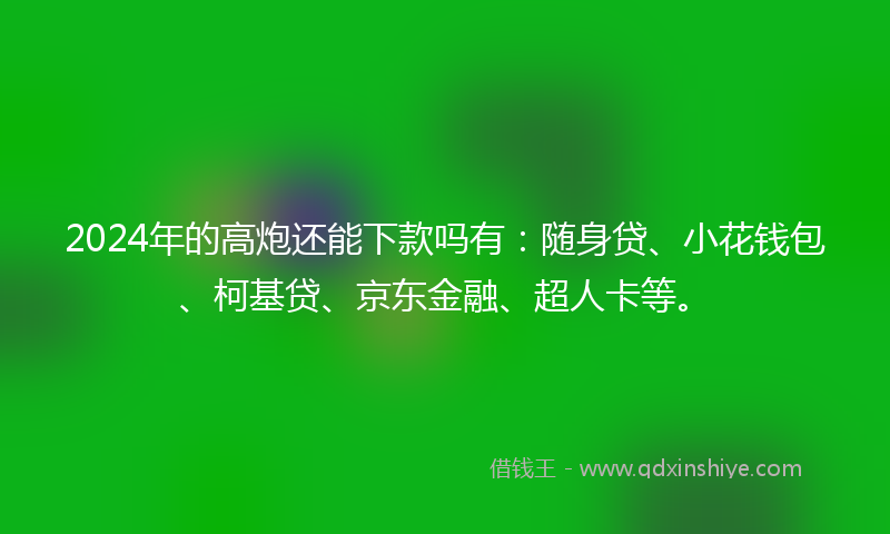 2024年的高炮还能下款吗有：随身贷、小花钱包、柯基贷、京东金融、超人卡等。
