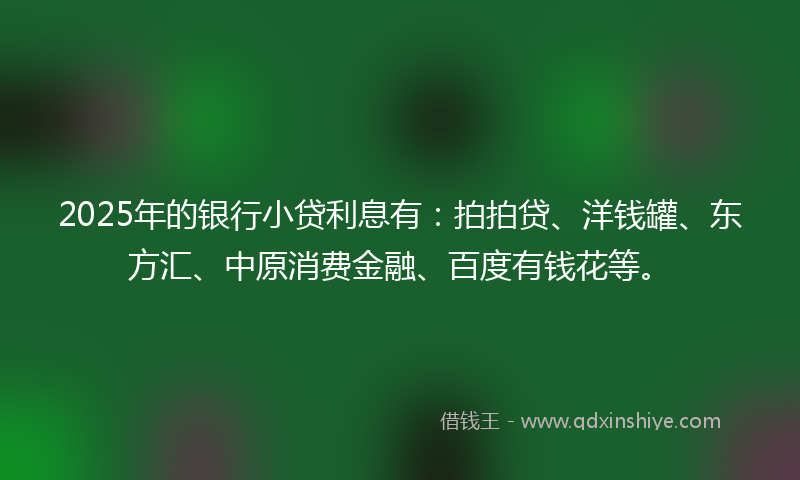 2025年的银行小贷利息有：拍拍贷、洋钱罐、东方汇、中原消费金融、百度有钱花等。