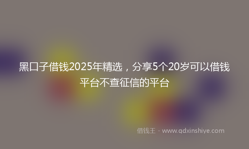 黑口子借钱2025年精选，分享5个20岁可以借钱平台不查征信的平台
