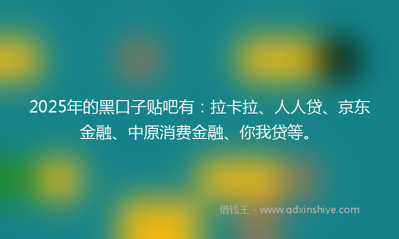 2025年的黑口子贴吧有：拉卡拉、人人贷、京东金融、中原消费金融、你我贷等。