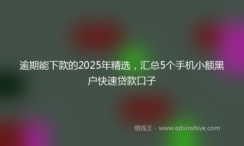 逾期能下款的2025年精选，汇总5个手机小额黑户快速贷款口子