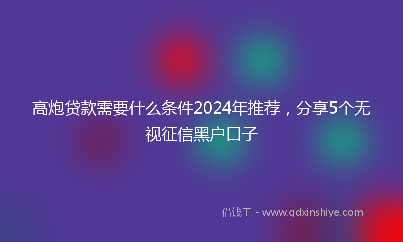 高炮贷款需要什么条件2024年推荐，分享5个无视征信黑户口子