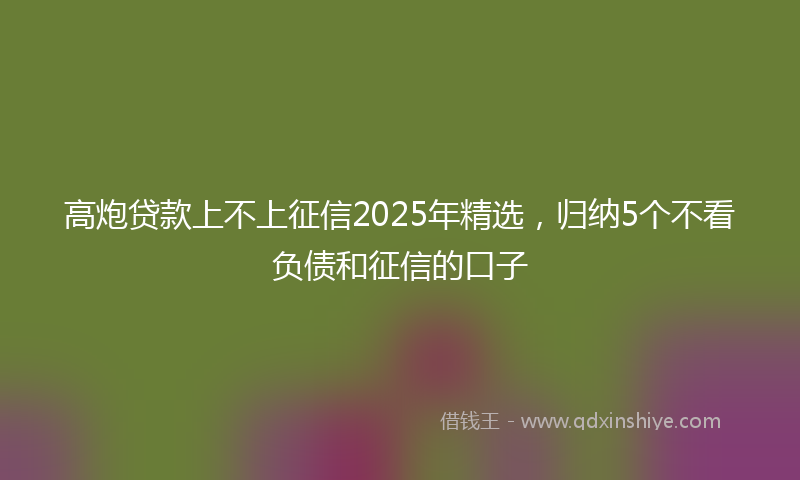 高炮贷款上不上征信2025年精选，归纳5个不看负债和征信的口子