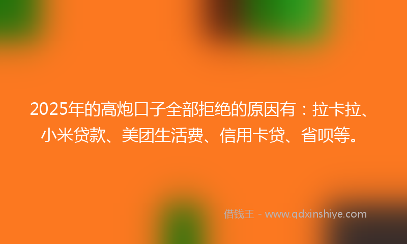 2025年的高炮口子全部拒绝的原因有：拉卡拉、小米贷款、美团生活费、信用卡贷、省呗等。