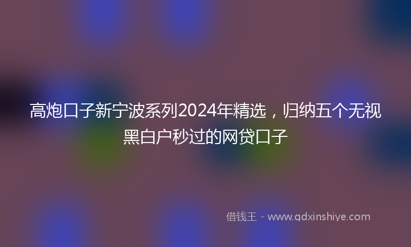 高炮口子新宁波系列2024年精选，归纳五个无视黑白户秒过的网贷口子