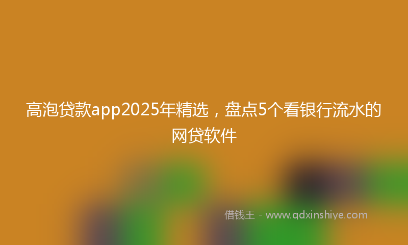 高泡贷款app2025年精选，盘点5个看银行流水的网贷软件