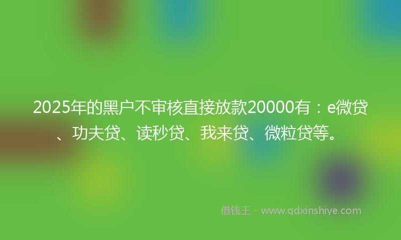 2025年的黑户不审核直接放款20000有：e微贷、功夫贷、读秒贷、我来贷、微粒贷等。