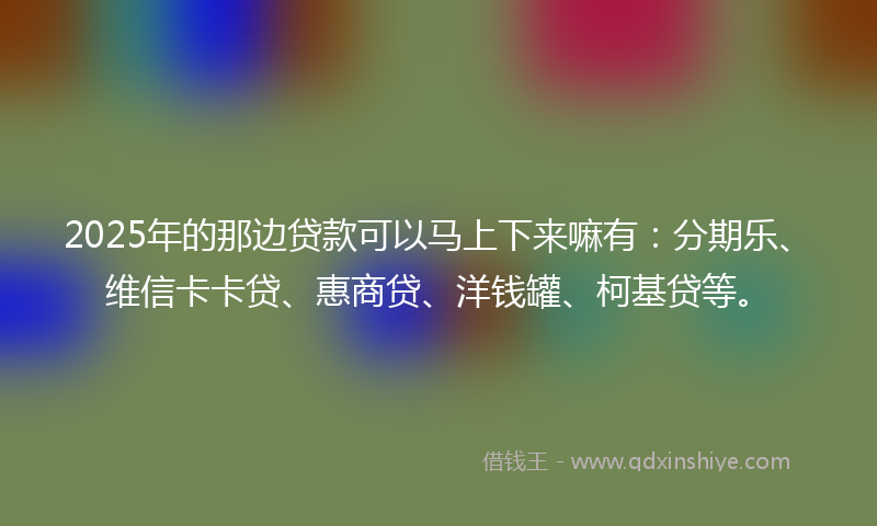 2025年的那边贷款可以马上下来嘛有：分期乐、维信卡卡贷、惠商贷、洋钱罐、柯基贷等。