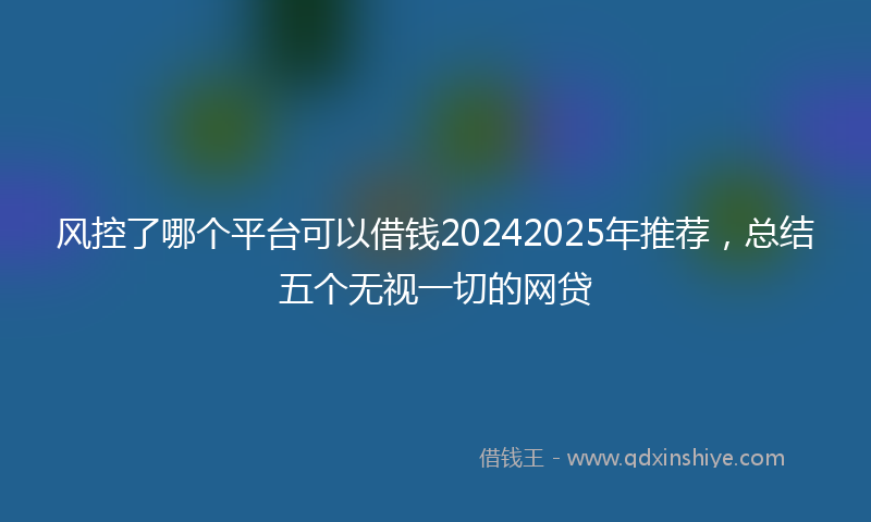 风控了哪个平台可以借钱20242025年推荐，总结五个无视一切的网贷