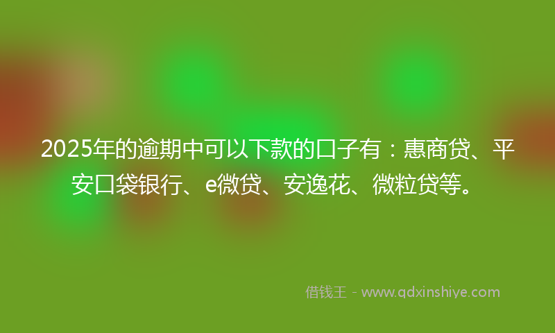 2025年的逾期中可以下款的口子有：惠商贷、平安口袋银行、e微贷、安逸花、微粒贷等。