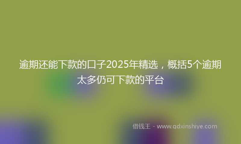 逾期还能下款的口子2025年精选，概括5个逾期太多仍可下款的平台