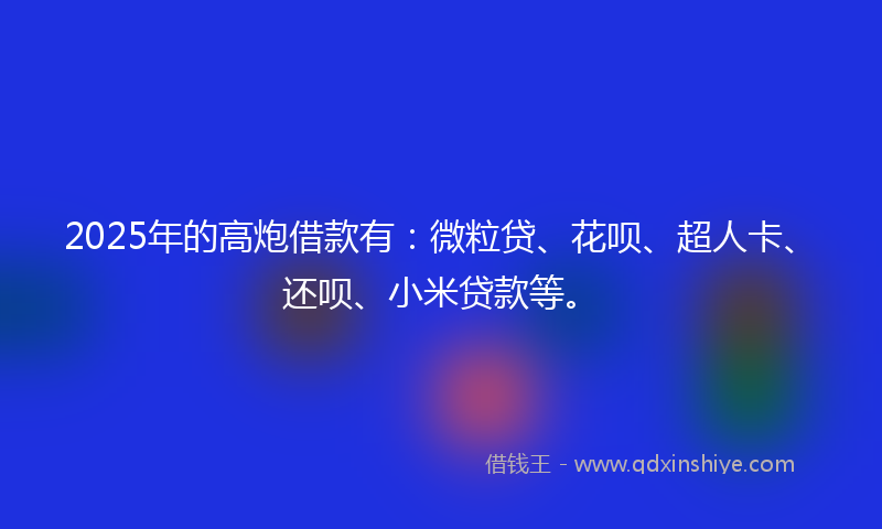 2025年的高炮借款有：微粒贷、花呗、超人卡、还呗、小米贷款等。