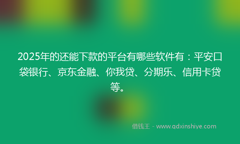 2025年的还能下款的平台有哪些软件有：平安口袋银行、京东金融、你我贷、分期乐、信用卡贷等。