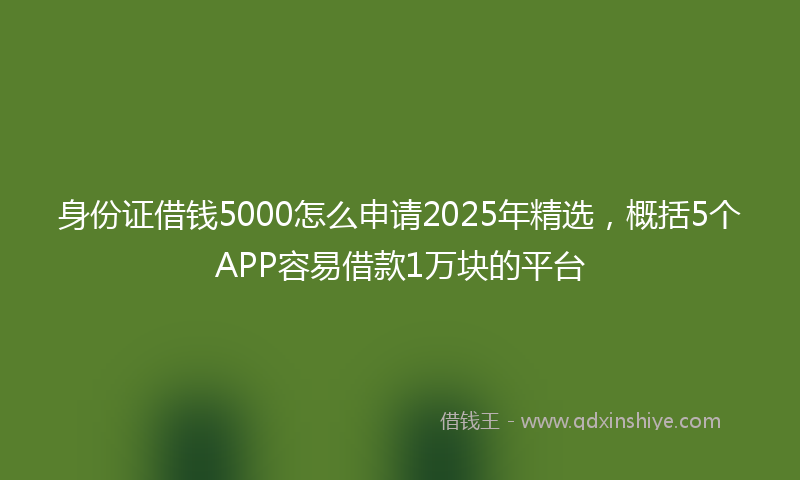 身份证借钱5000怎么申请2025年精选，概括5个APP容易借款1万块的平台