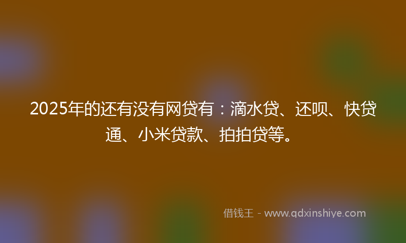 2025年的还有没有网贷有：滴水贷、还呗、快贷通、小米贷款、拍拍贷等。