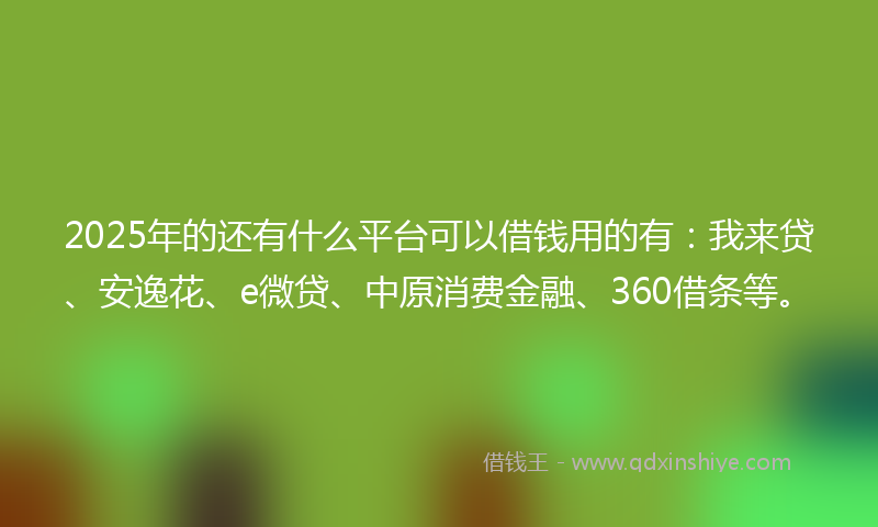 2025年的还有什么平台可以借钱用的有：我来贷、安逸花、e微贷、中原消费金融、360借条等。