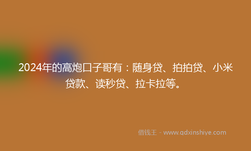 2024年的高炮口子哥有：随身贷、拍拍贷、小米贷款、读秒贷、拉卡拉等。