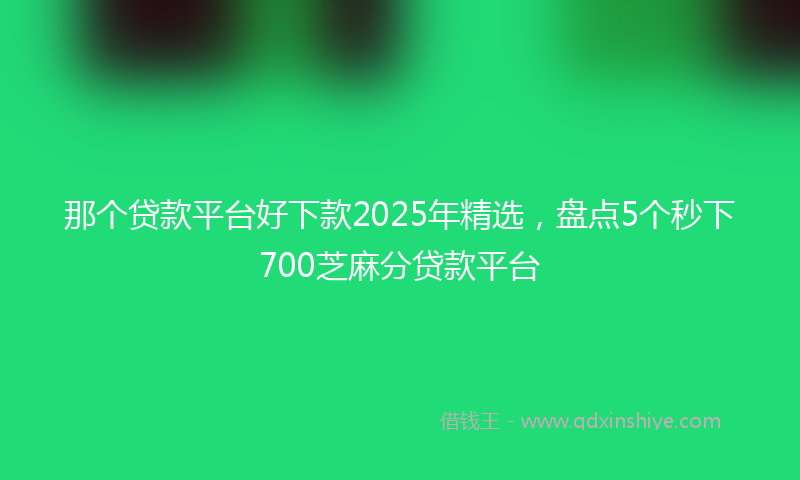 那个贷款平台好下款2025年精选，盘点5个秒下700芝麻分贷款平台