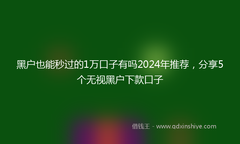 黑户也能秒过的1万口子有吗2024年推荐，分享5个无视黑户下款口子