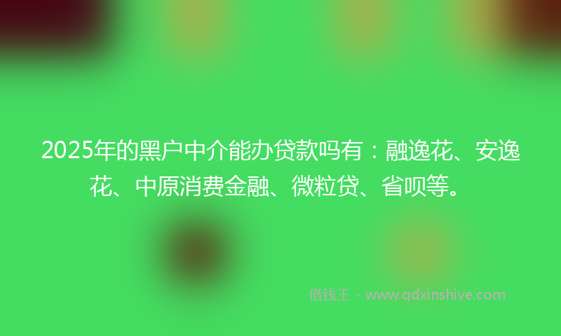 2025年的黑户中介能办贷款吗有：融逸花、安逸花、中原消费金融、微粒贷、省呗等。