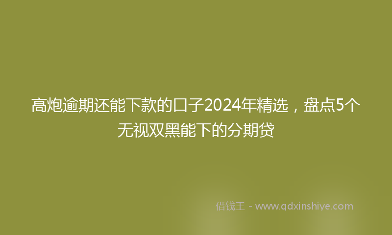 高炮逾期还能下款的口子2024年精选，盘点5个无视双黑能下的分期贷