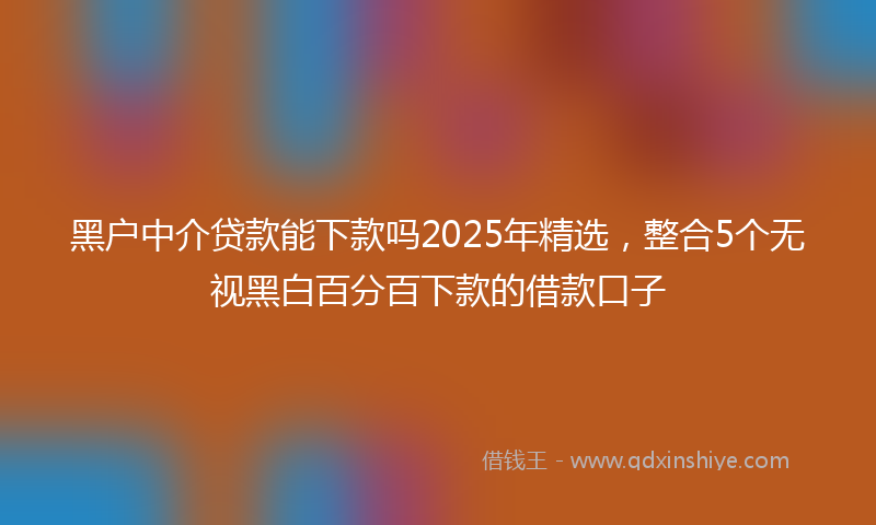 黑户中介贷款能下款吗2025年精选，整合5个无视黑白百分百下款的借款口子