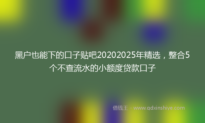 黑户也能下的口子贴吧20202025年精选，整合5个不查流水的小额度贷款口子