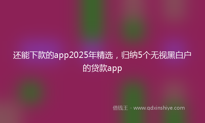 还能下款的app2025年精选，归纳5个无视黑白户的贷款app