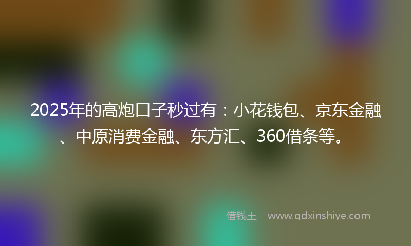 2025年的高炮口子秒过有：小花钱包、京东金融、中原消费金融、东方汇、360借条等。