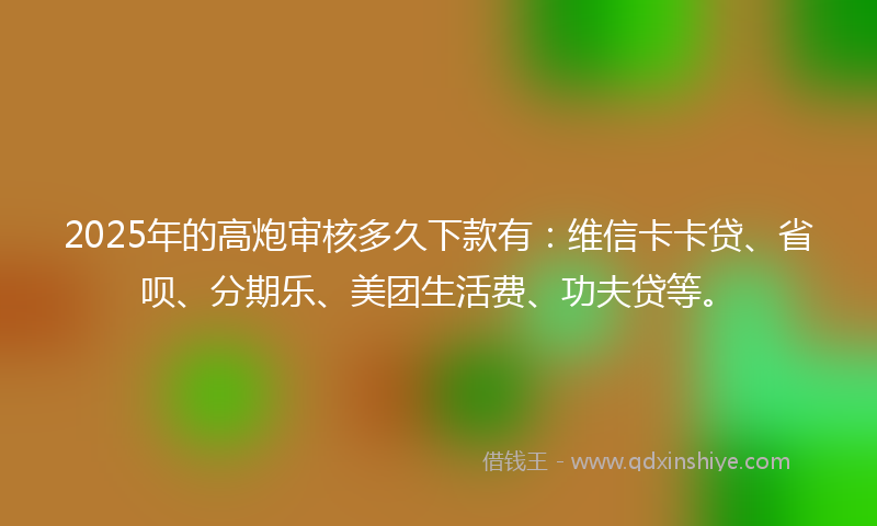 2025年的高炮审核多久下款有：维信卡卡贷、省呗、分期乐、美团生活费、功夫贷等。