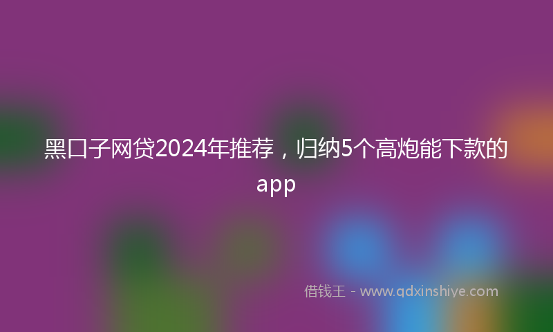 黑口子网贷2024年推荐，归纳5个高炮能下款的app