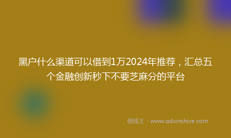 黑户什么渠道可以借到1万2024年推荐，汇总五个金融创新秒下不要芝麻分的平台