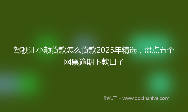 驾驶证小额贷款怎么贷款2025年精选，盘点五个网黑逾期下款口子