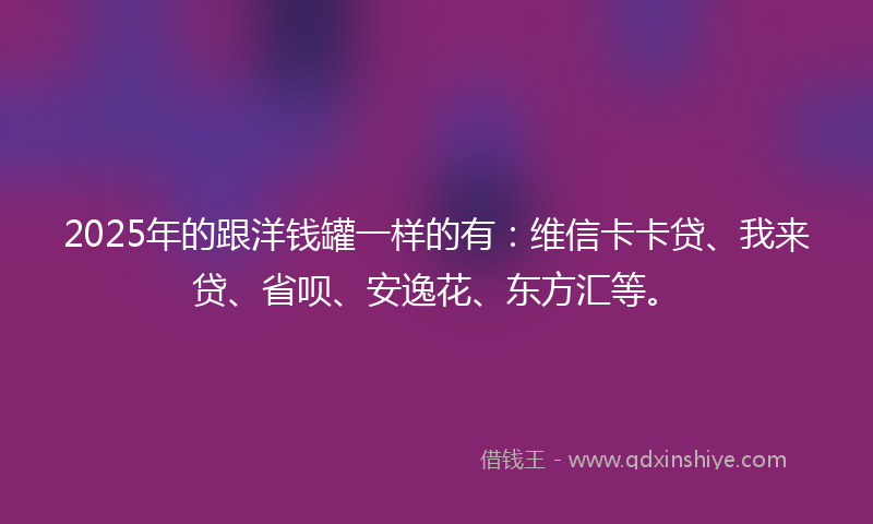 2025年的跟洋钱罐一样的有：维信卡卡贷、我来贷、省呗、安逸花、东方汇等。
