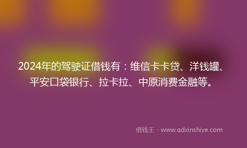 2024年的驾驶证借钱有：维信卡卡贷、洋钱罐、平安口袋银行、拉卡拉、中原消费金融等。