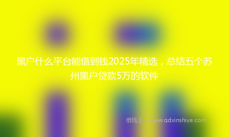 黑户什么平台能借到钱2025年精选，总结五个苏州黑户贷款5万的软件
