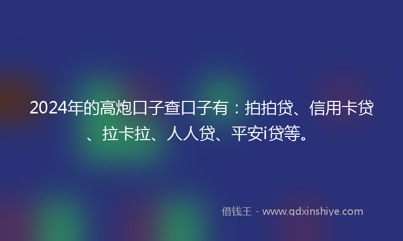 2024年的高炮口子查口子有：拍拍贷、信用卡贷、拉卡拉、人人贷、平安i贷等。