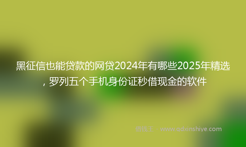 黑征信也能贷款的网贷2024年有哪些2025年精选，罗列五个手机身份证秒借现金的软件