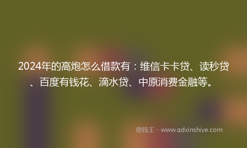 2024年的高炮怎么借款有：维信卡卡贷、读秒贷、百度有钱花、滴水贷、中原消费金融等。